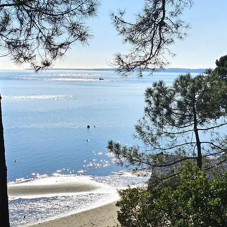 Calme Entre Bassin Et Ocean, Terrasse, 4 Pers. - Fr-1-736-60 * Lege-Cap-Ferret