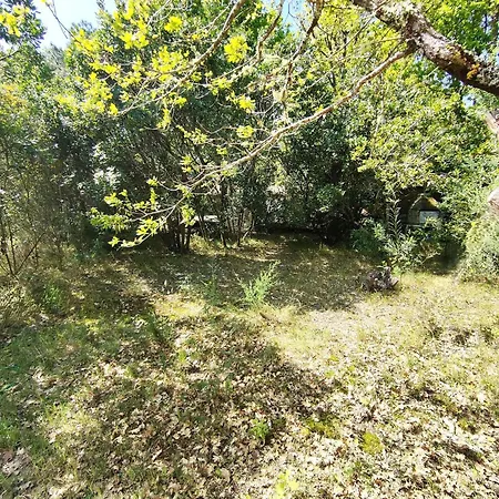 Villa Calme Entre Bassin Et Ocean, Terrasse, 4 Pers. - Fr-1-736-60 Lege-Cap-Ferret