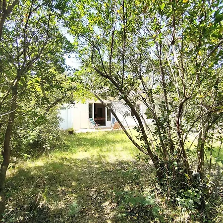 Calme Entre Bassin Et Ocean, Terrasse, 4 Pers. - Fr-1-736-60 * Lege-Cap-Ferret