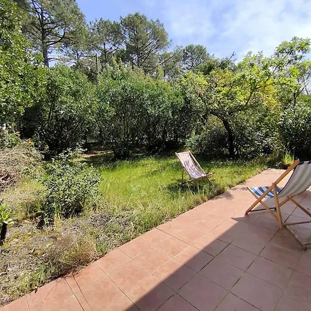 Villa Calme Entre Bassin Et Ocean, Terrasse, 4 Pers. - Fr-1-736-60 *