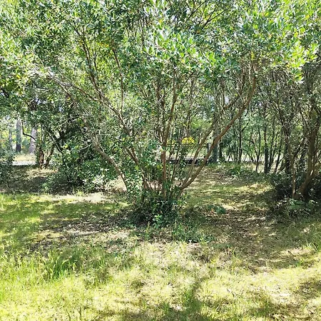 Calme Entre Bassin Et Ocean, Terrasse, 4 Pers. - Fr-1-736-60
